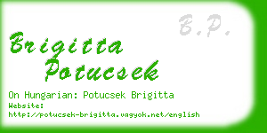 brigitta potucsek business card